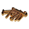 Pickup Mounting Screws Strat (6-32 x 5/8'' Gold) (Set of 8)