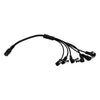 DC Jumper Cable for Pedal Power Supplies (2.1mm) /11'' 1 female to 6 male