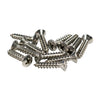 Stainless Oval Head Phillips Screw For Cabinet Corners (Set of 12)